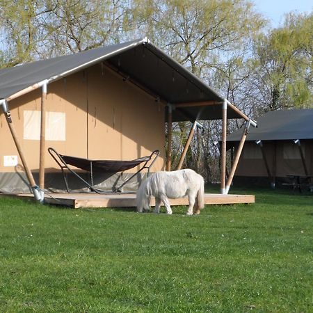 Hoeveheikant Lage Mierde Exteriér fotografie
