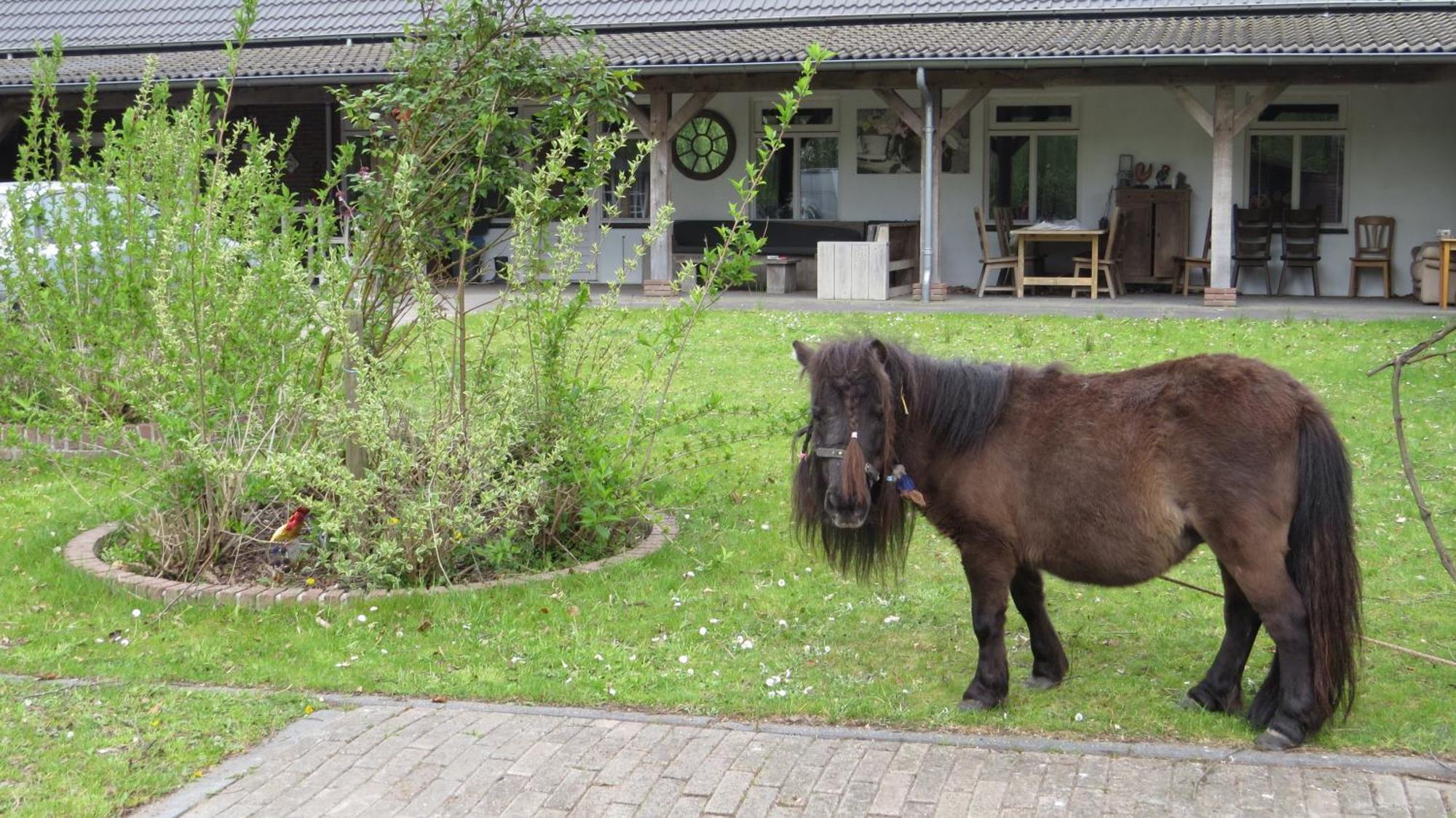 Hoeveheikant Lage Mierde Exteriér fotografie